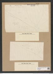 Chaetoceros atlanticus Cleve (de-Toni-Nr.: Genus 149, Species 4124) Zeichnungen Sammlung Grunow Nr. 7670 (NHMW-BOT-W0376863)